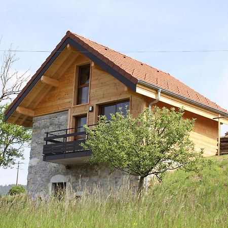 Le Chalet Des Pierres Viuz-en-Sallaz 外观 照片