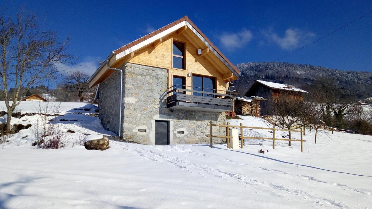 Le Chalet Des Pierres Viuz-en-Sallaz 外观 照片