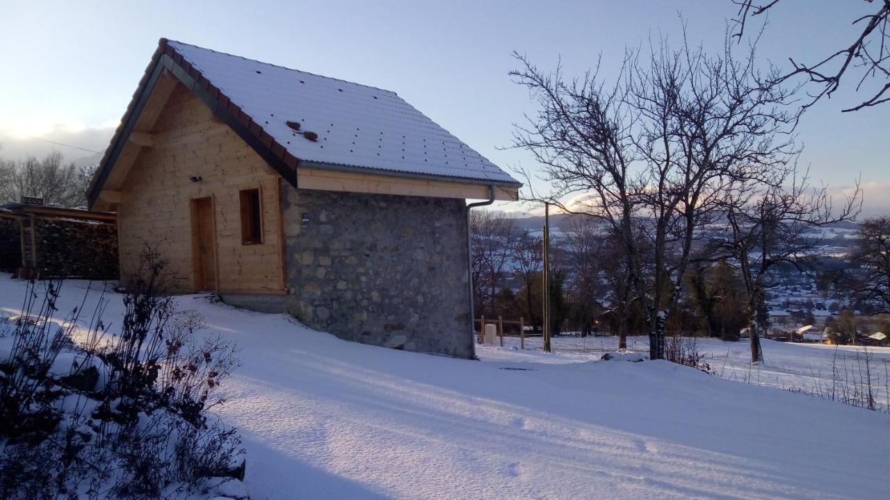 Le Chalet Des Pierres Viuz-en-Sallaz 外观 照片