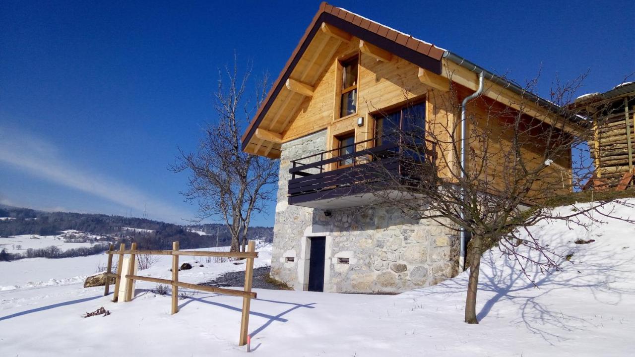 Le Chalet Des Pierres Viuz-en-Sallaz 外观 照片
